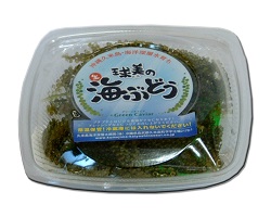海ぶどう40g