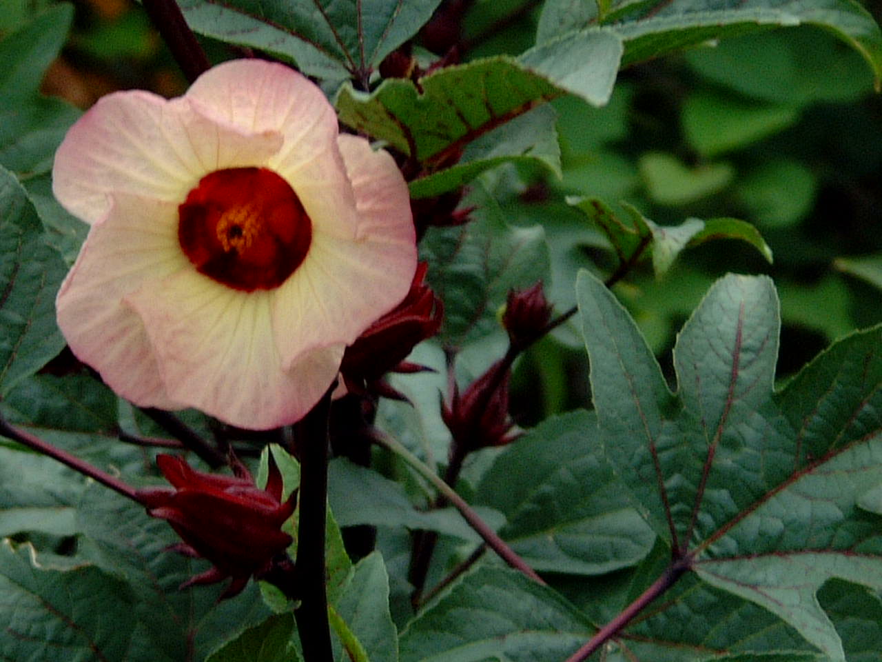 ���[�[���W����